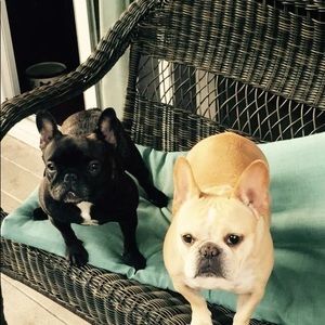 Meet your Posher, Mackenzie